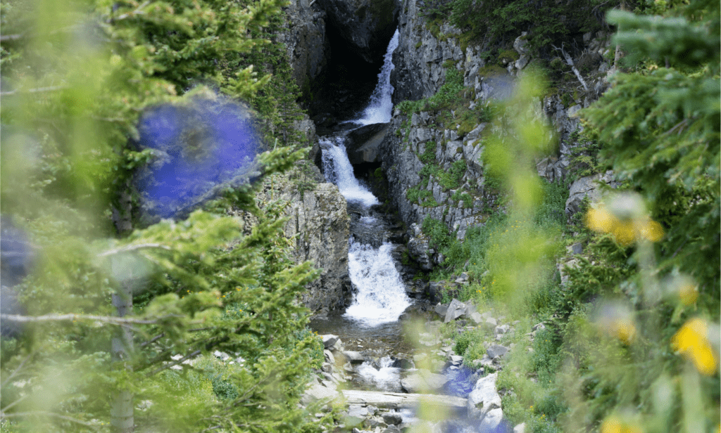rijeka-voda-suma