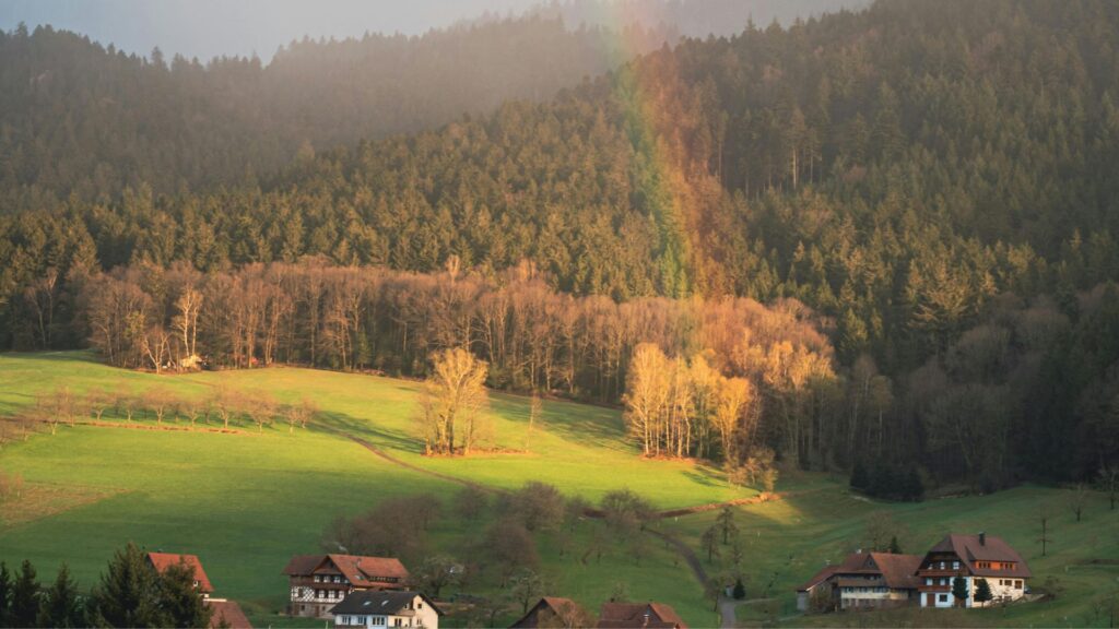 Rođeni u drugačijem polju: zašto se neke generacije ne uklapaju u današnji svijet