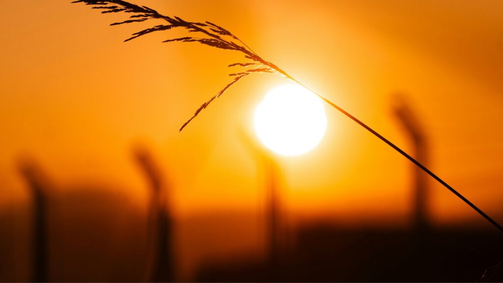 Kanaliziranje Praizvornog sunca